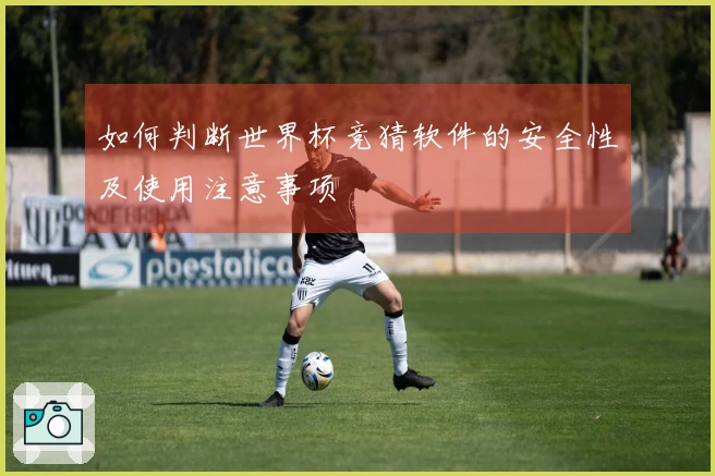 如何判断世界杯竞猜软件的安全性及使用注意事项