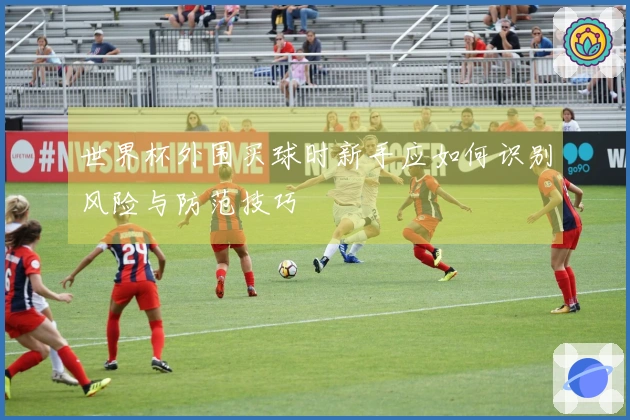 世界杯外围买球时新手应如何识别风险与防范技巧