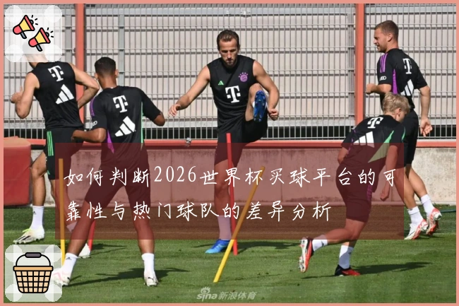 如何判断2026世界杯买球平台的可靠性与热门球队的差异分析