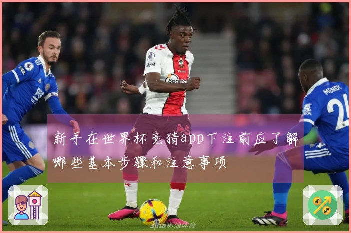 新手在世界杯竞猜app下注前应了解哪些基本步骤和注意事项