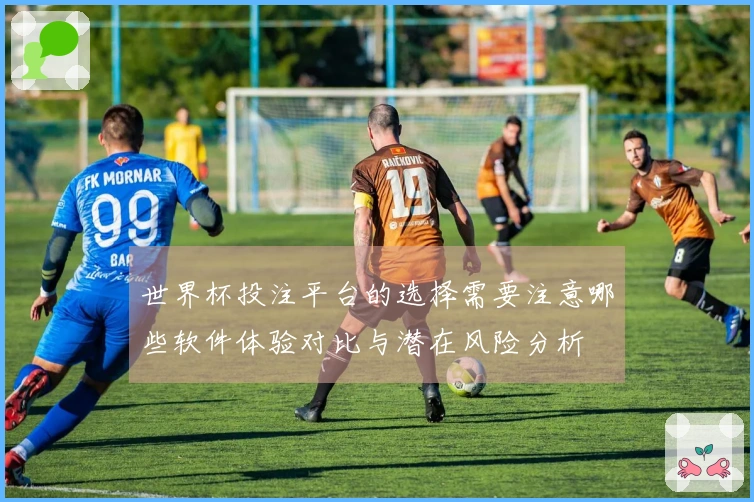 世界杯投注平台的选择需要注意哪些软件体验对比与潜在风险分析