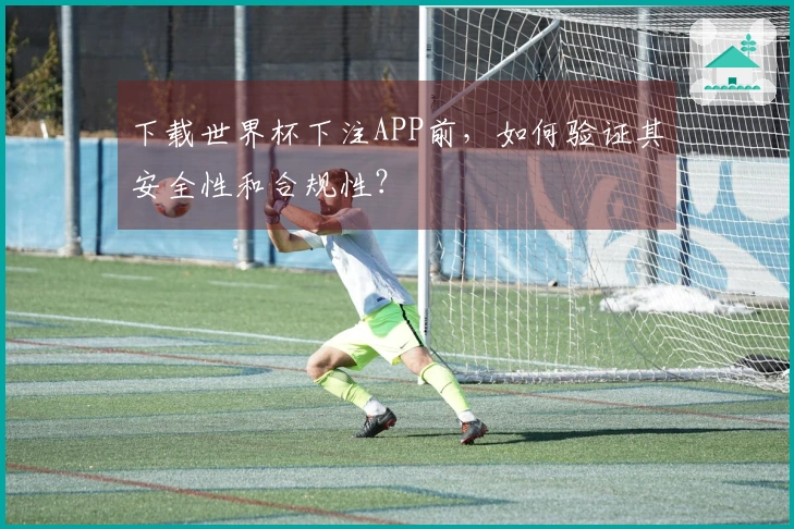 下载世界杯下注APP前，如何验证其安全性和合规性？