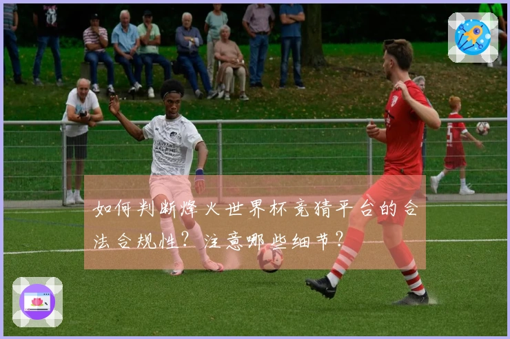 如何判断烽火世界杯竞猜平台的合法合规性？注意哪些细节？