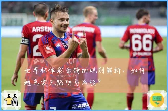 世界杯体彩竞猜的规则解析，如何避免常见陷阱与风险？