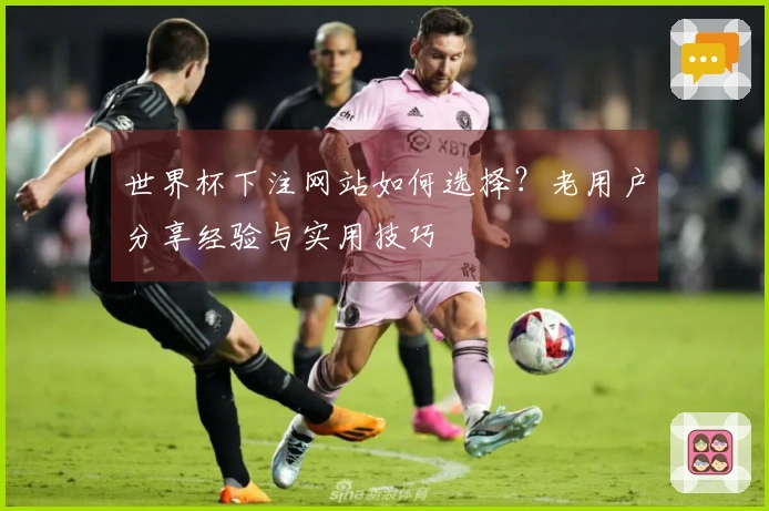 世界杯下注网站如何选择？老用户分享经验与实用技巧