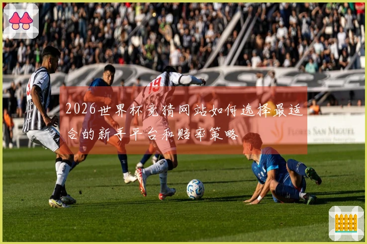2026世界杯竞猜网站如何选择最适合的新手平台和赔率策略