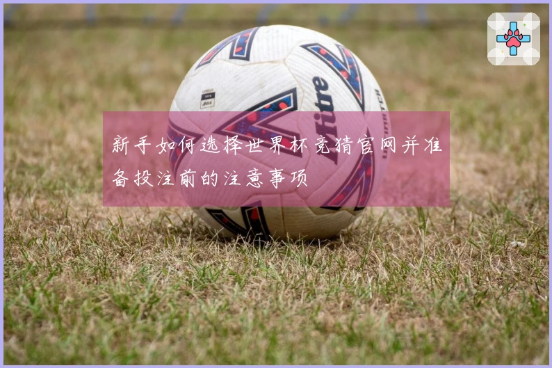 新手如何选择世界杯竞猜官网并准备投注前的注意事项