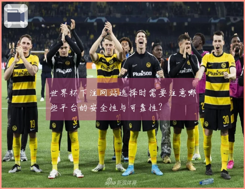 世界杯下注网站选择时需要注意哪些平台的安全性与可靠性？