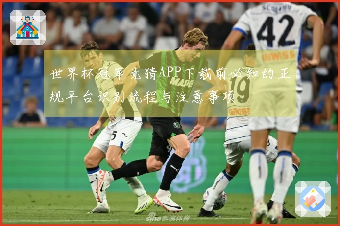 世界杯冠军竞猜APP下载前必知的正规平台识别流程与注意事项