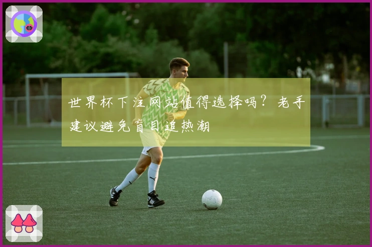 世界杯下注网站值得选择吗？老手建议避免盲目追热潮