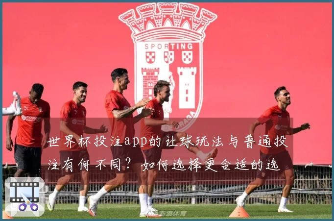 世界杯投注app的让球玩法与普通投注有何不同？如何选择更合适的选项？