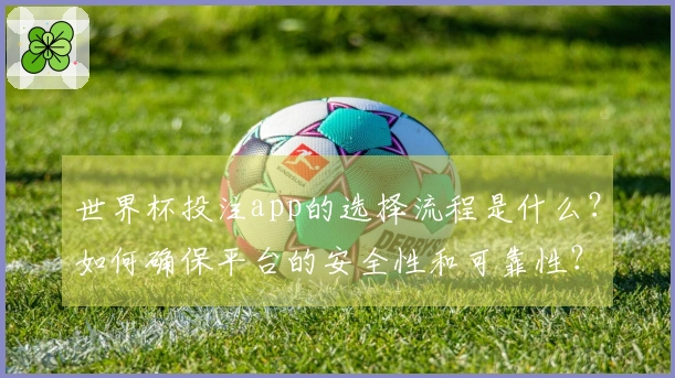 世界杯投注app的选择流程是什么？如何确保平台的安全性和可靠性？