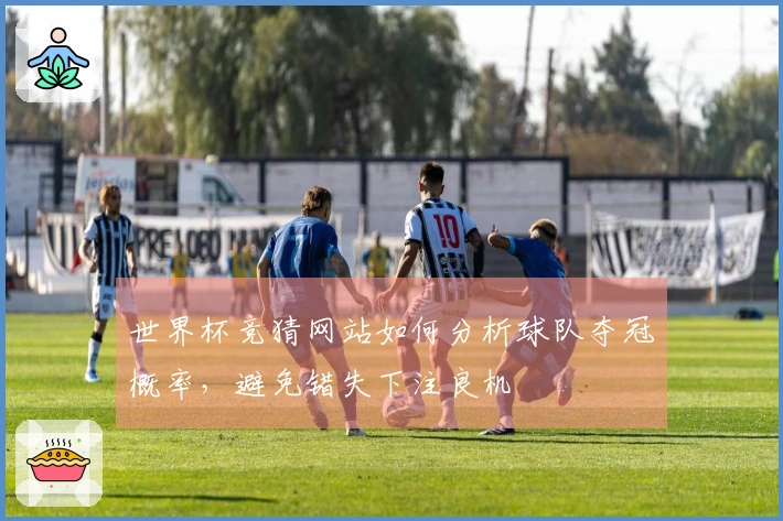 世界杯竞猜网站如何分析球队夺冠概率，避免错失下注良机