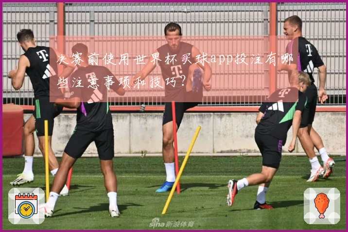决赛前使用世界杯买球app投注有哪些注意事项和技巧？