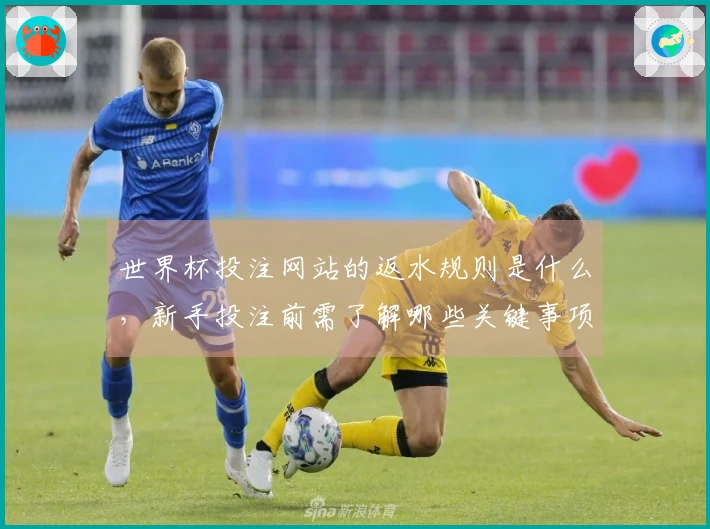 世界杯投注网站的返水规则是什么，新手投注前需了解哪些关键事项？