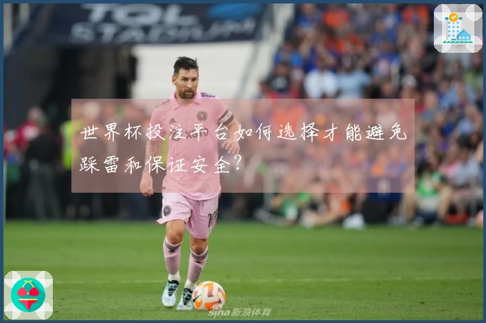 世界杯投注平台如何选择才能避免踩雷和保证安全？