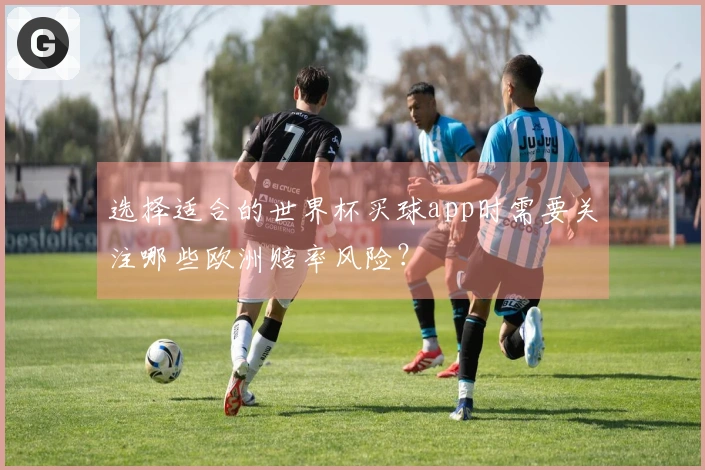选择适合的世界杯买球app时需要关注哪些欧洲赔率风险？