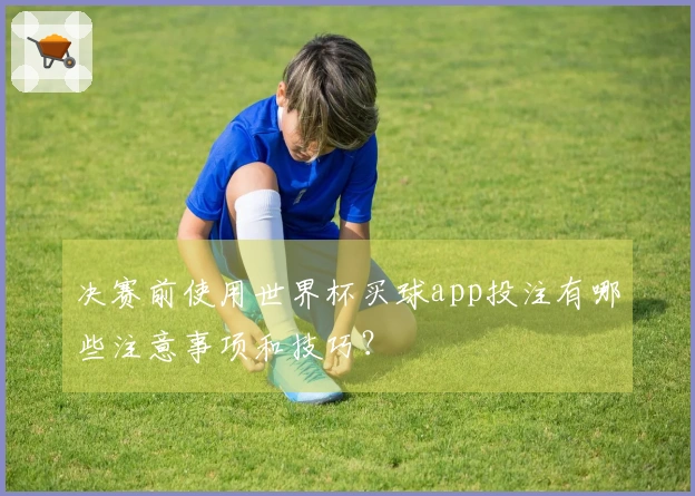 决赛前使用世界杯买球app投注有哪些注意事项和技巧？