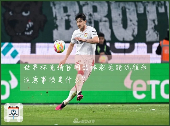 世界杯竞猜官网的体彩竞猜流程和注意事项是什么？