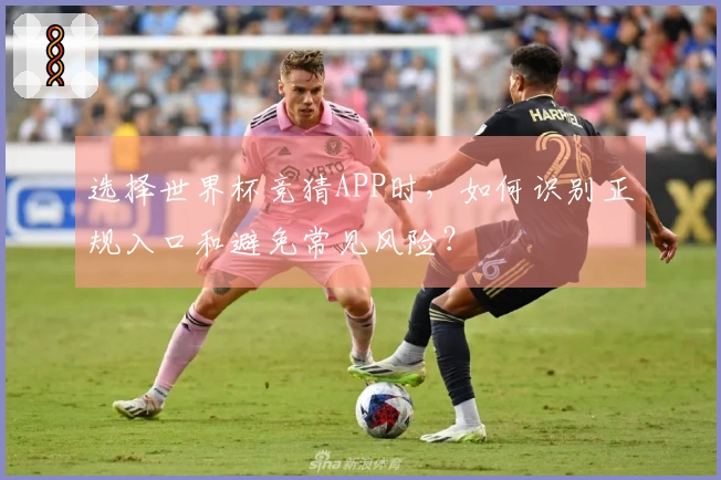 选择世界杯竞猜APP时，如何识别正规入口和避免常见风险？