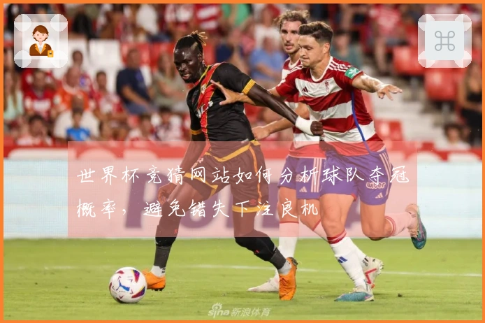 世界杯竞猜网站如何分析球队夺冠概率，避免错失下注良机