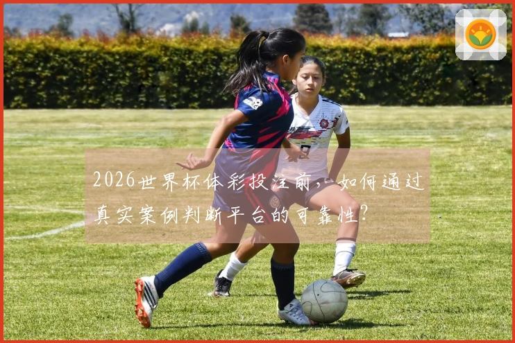 2026世界杯体彩投注前，如何通过真实案例判断平台的可靠性？