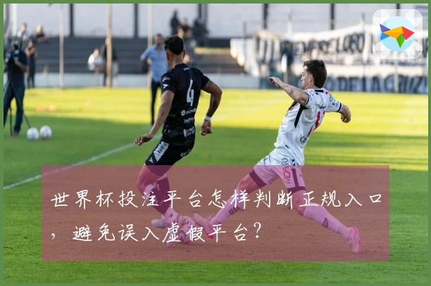 世界杯投注平台怎样判断正规入口，避免误入虚假平台？