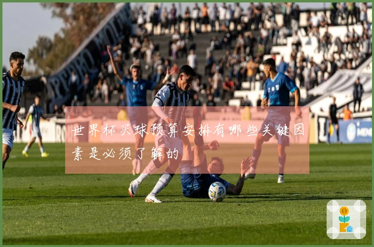 世界杯买球预算安排有哪些关键因素是必须了解的