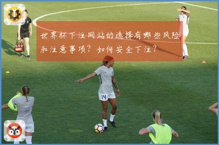 世界杯下注网站的选择有哪些风险和注意事项？如何安全下注？