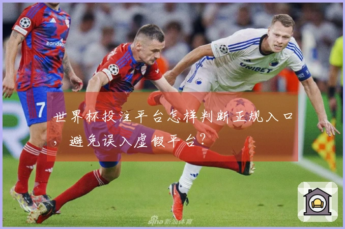 世界杯投注平台怎样判断正规入口，避免误入虚假平台？
