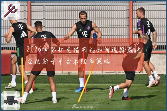 2026世界杯竞猜网站如何选择最适合的新手平台和赔率策略